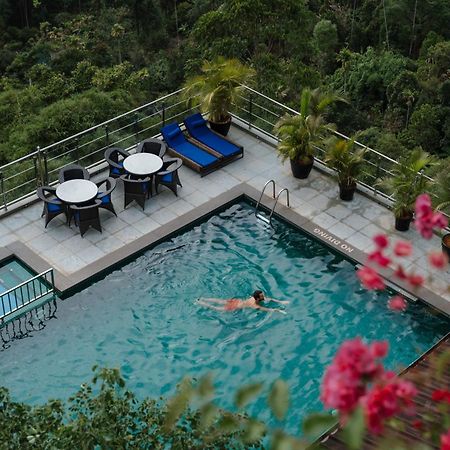 The Panoramic Getaway Hotel Munnar Eksteriør billede The swimming pool at the hotel